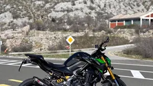 Kawasaki Z 900 SE Performance (2023 - 24)  (2)