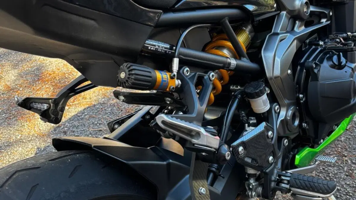Kawasaki Z 900 SE Performance (2023 - 24)  (8)
