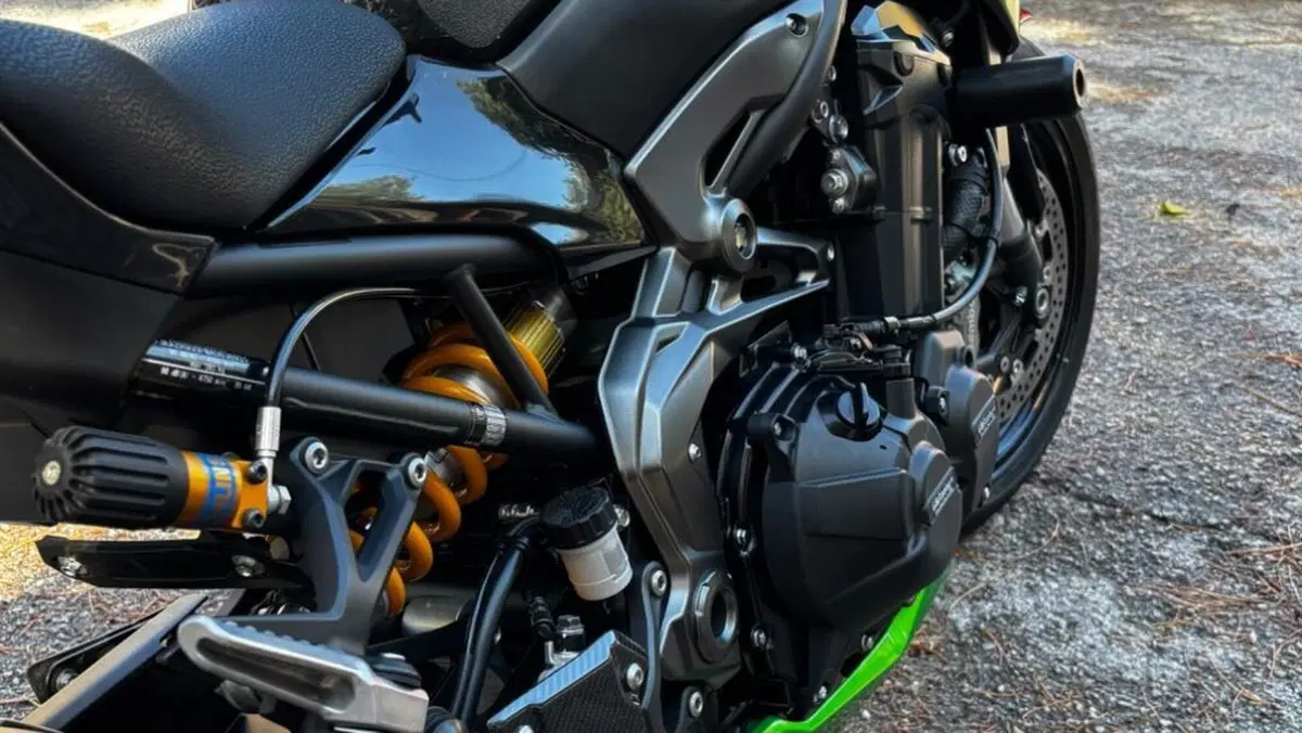 Kawasaki Z 900 SE Performance (2023 - 24)  (9)