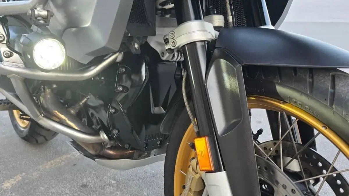Bmw R 1250 GS Adventure (2019 - 20)  (7)