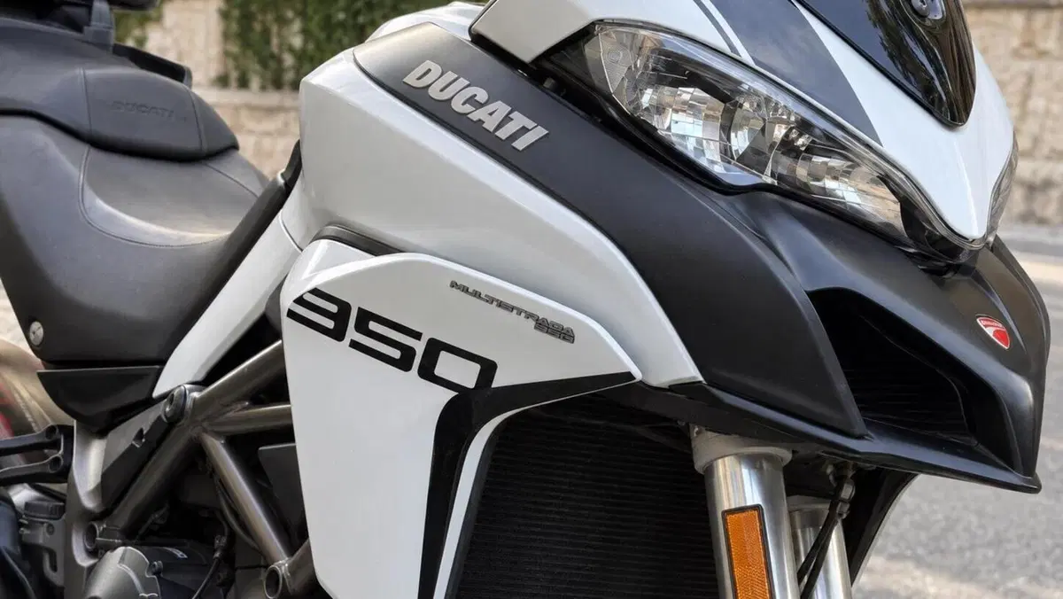 Ducati Multistrada 950 (2018)  (7)