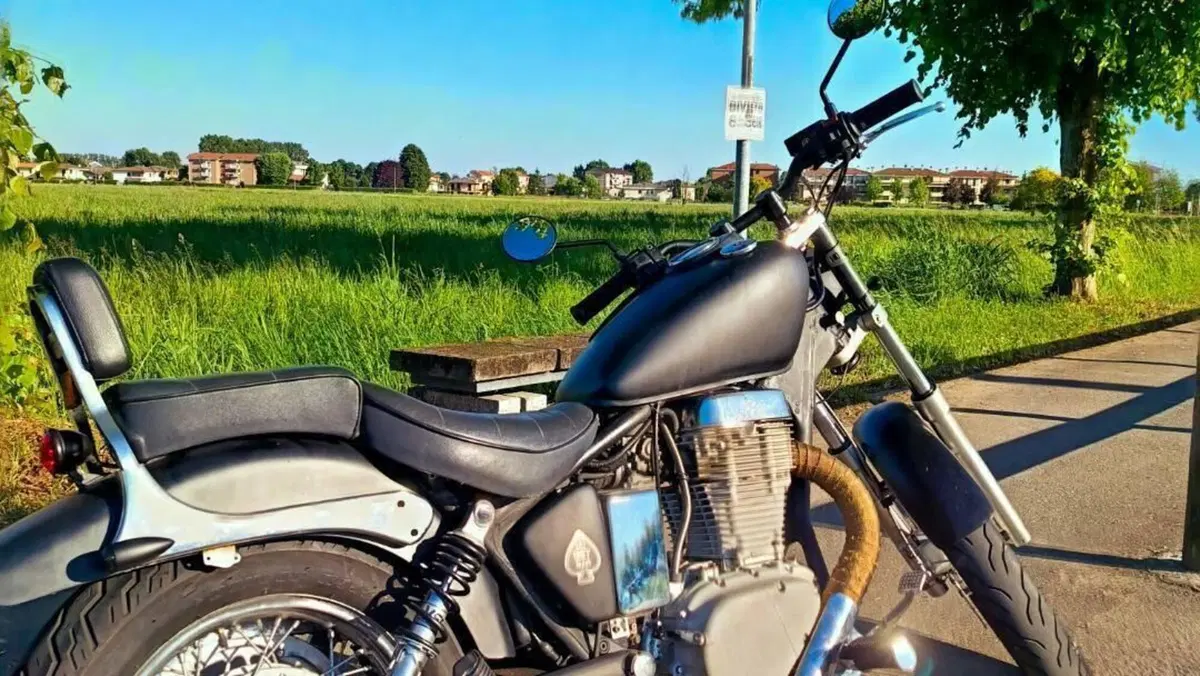 Suzuki LS 650 F (1988 - 89) 