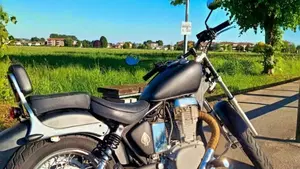Suzuki LS 650 F (1988 - 89) 