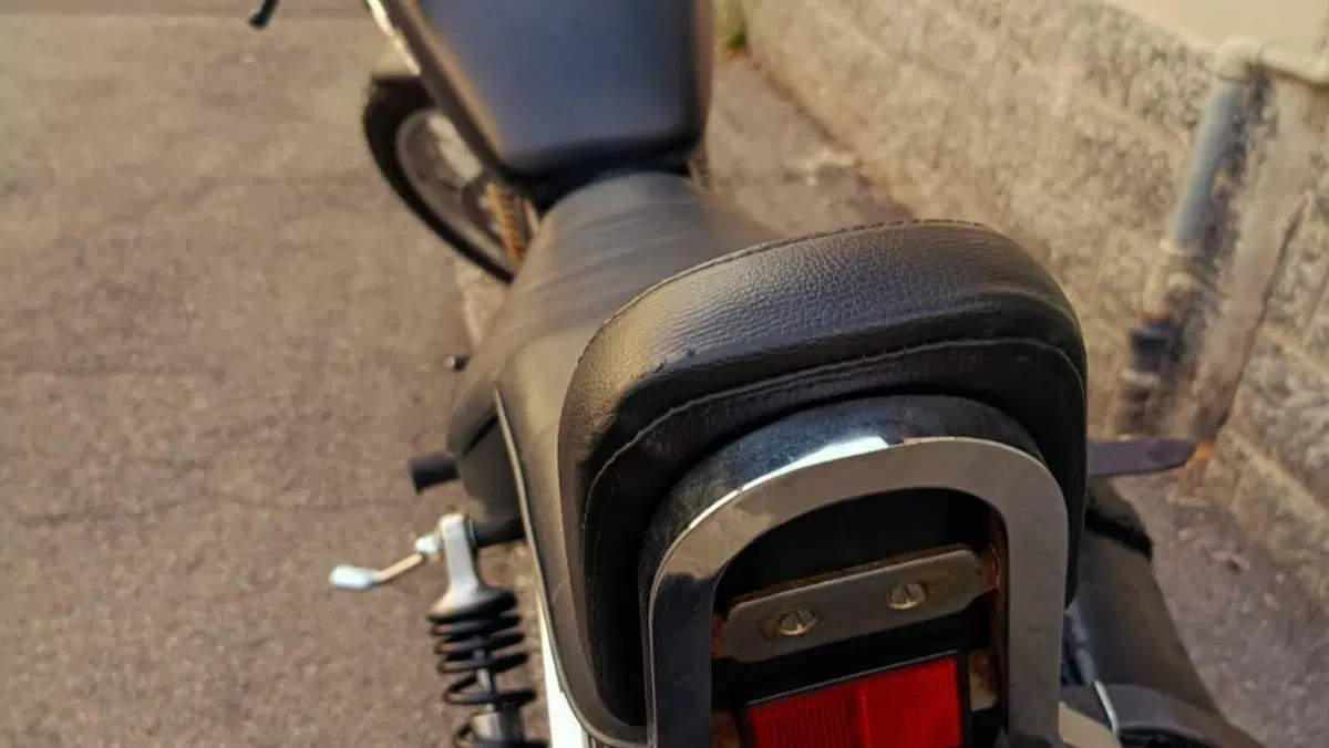 Suzuki LS 650 F (1988 - 89)  (3)