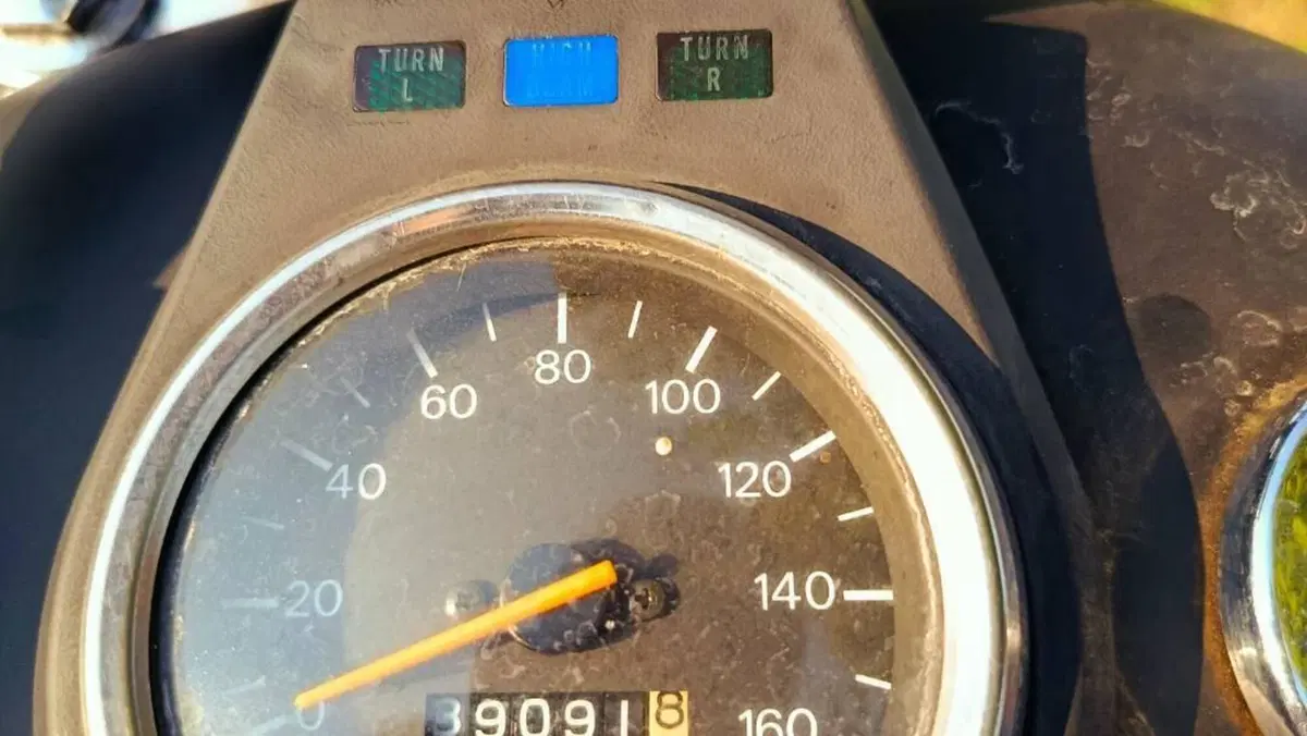 Suzuki LS 650 F (1988 - 89)  (7)