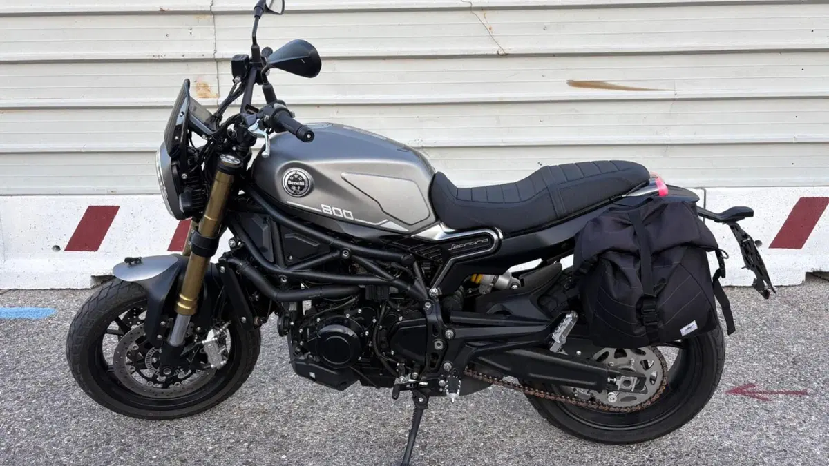 Benelli Leoncino 800 (2022 - 26) 