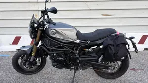 Benelli Leoncino 800 (2022 - 26) 