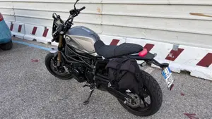 Benelli Leoncino 800 (2022 - 26)  (2)
