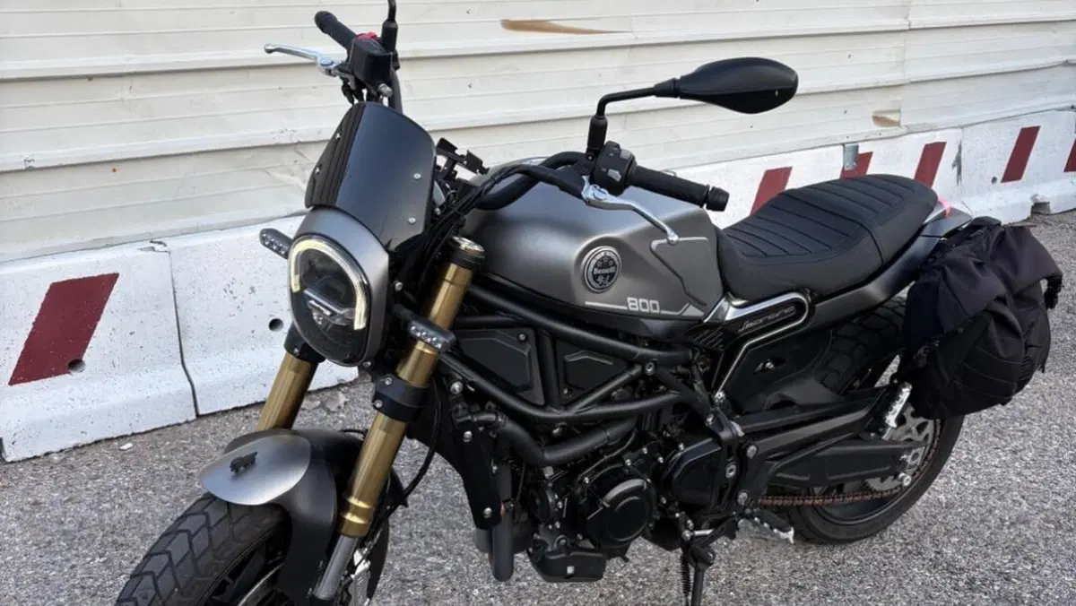 Benelli Leoncino 800 (2022 - 26)  (3)