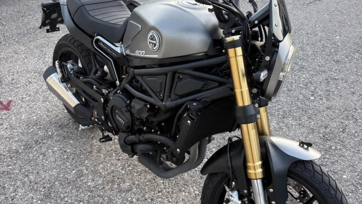 Benelli Leoncino 800 (2022 - 26)  (7)