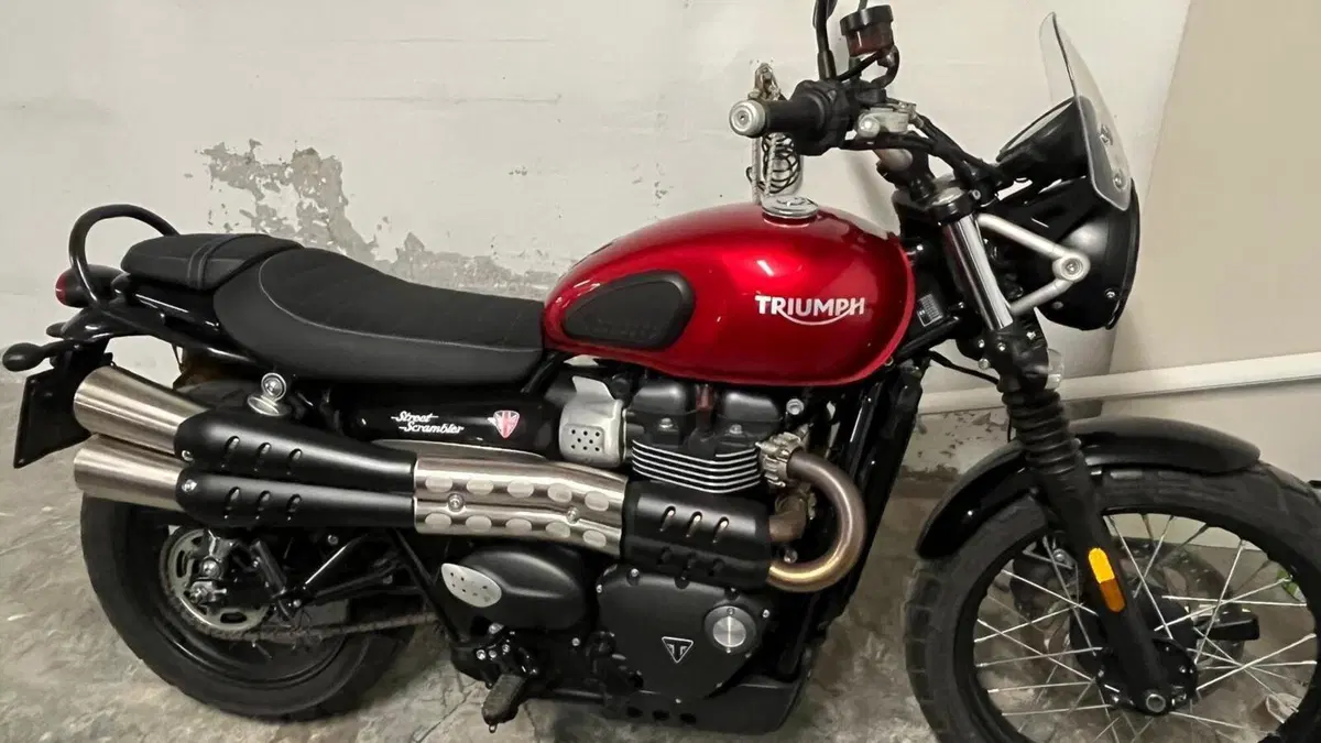 Triumph Street Scrambler 900 (2019 - 20)  (2)