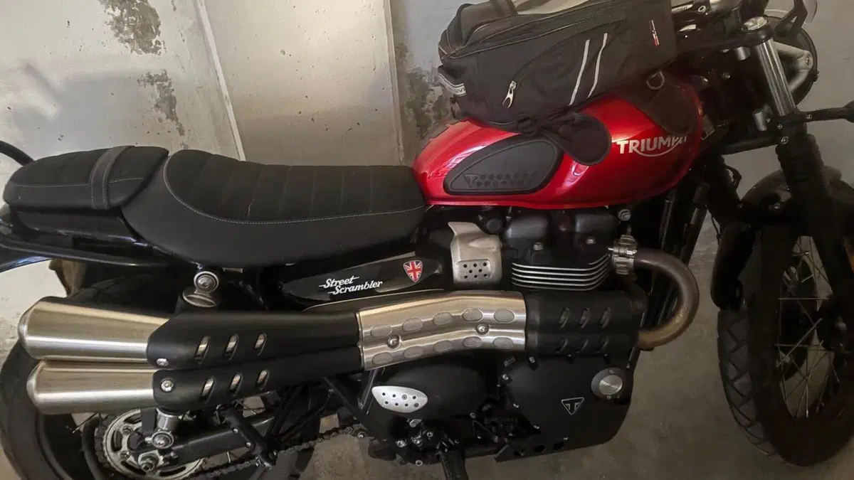 Triumph Street Scrambler 900 (2019 - 20)  (6)