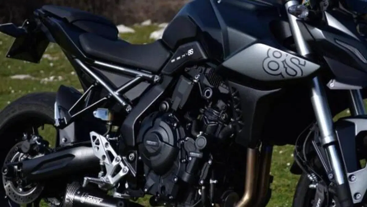 Suzuki GSX-8S (2023 - 24)  (2)