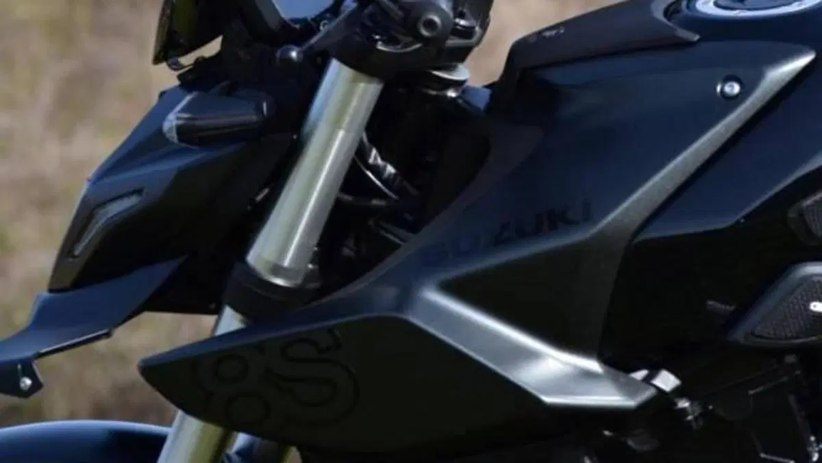 Suzuki GSX-8S (2023 - 24)  (3)