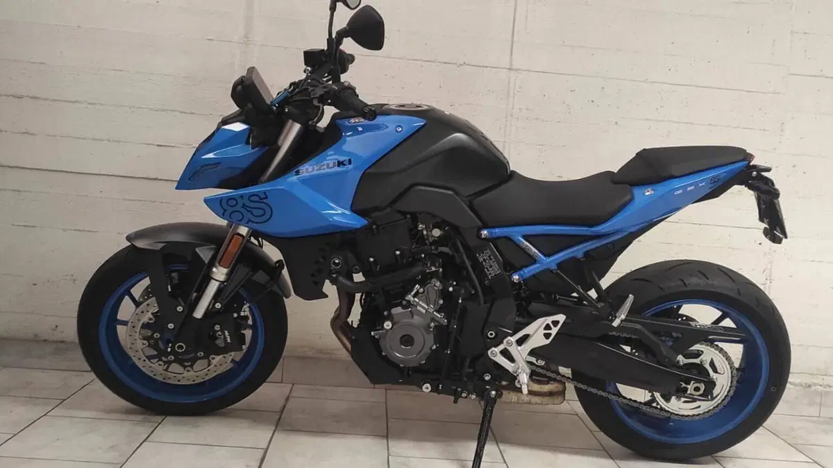 Suzuki GSX-8S (2023 - 24)  (2)