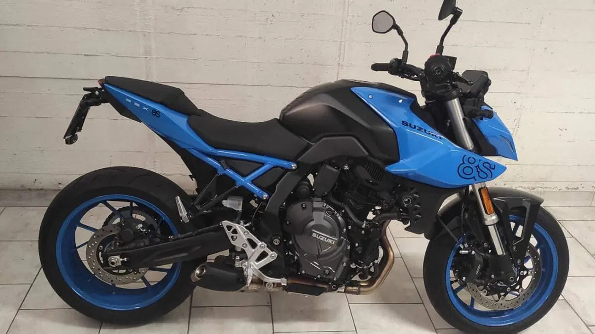 Suzuki GSX-8S (2023 - 24)  (3)