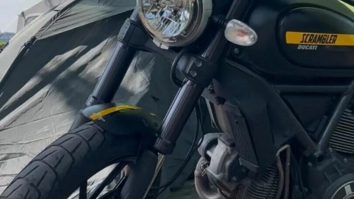 Ducati Scrambler 800 Full Throttle (2015 - 16)  (8)