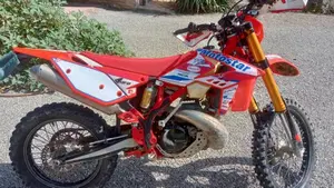 Betamotor RR 300 2T Enduro (2016)  (4)