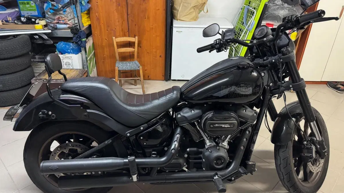 Harley-Davidson 114 Low Rider S (2021) - FXLRS  (2)