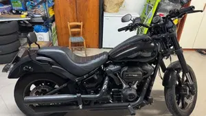 Harley-Davidson 114 Low Rider S (2021) - FXLRS  (2)