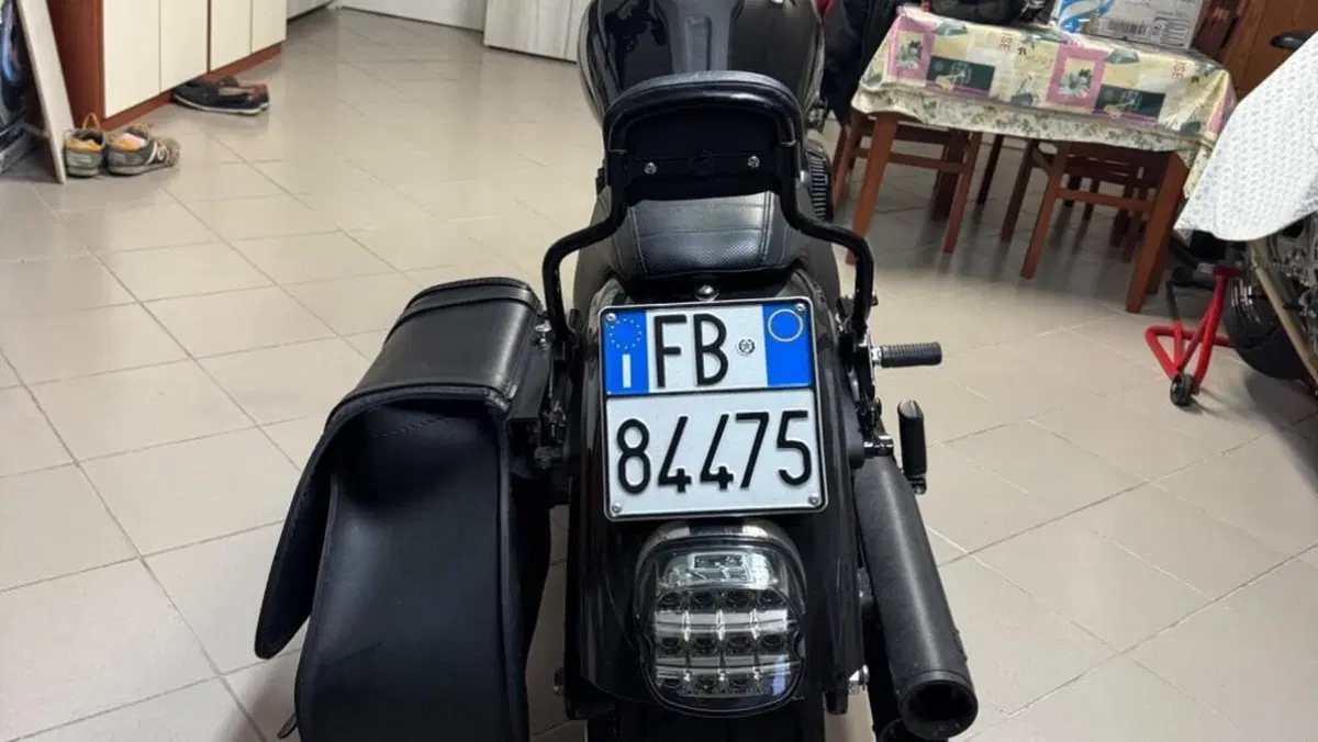 Harley-Davidson 114 Low Rider S (2021) - FXLRS  (4)
