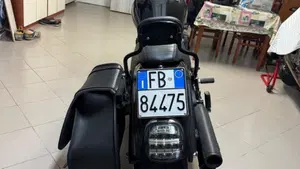 Harley-Davidson 114 Low Rider S (2021) - FXLRS  (4)