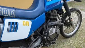 Suzuki   (2)
