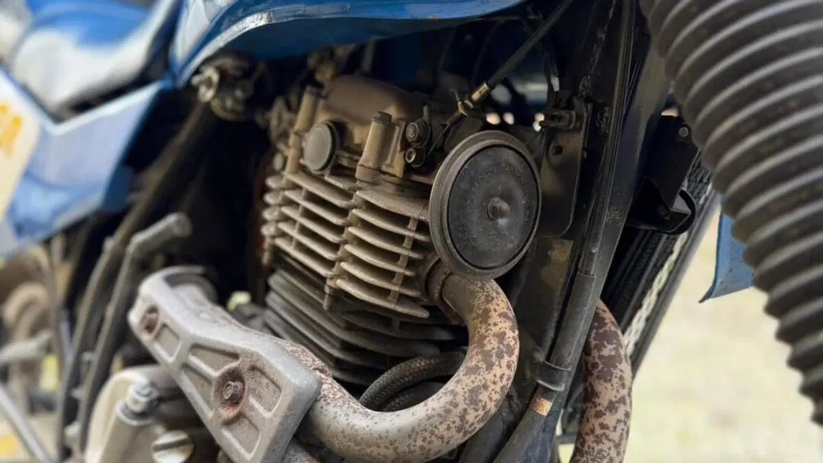 Suzuki   (6)