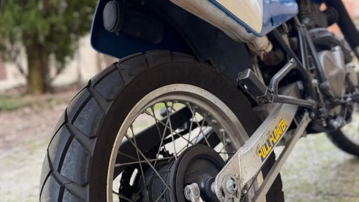 Suzuki   (14)