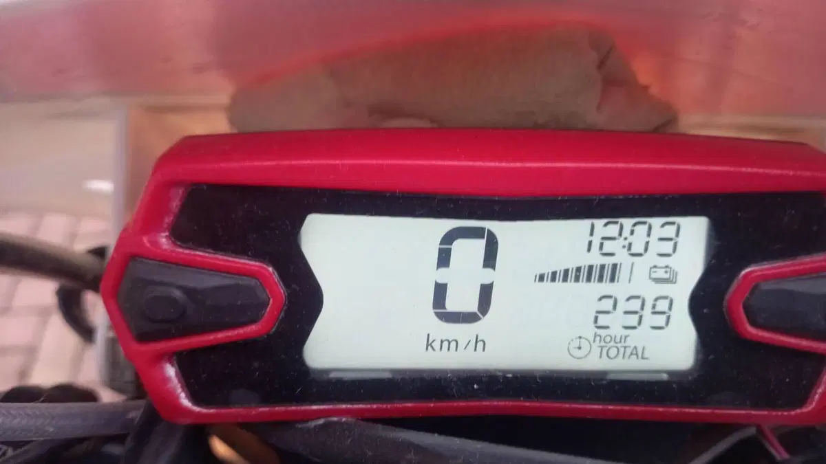Betamotor Xtrainer 250 2t (2018 - 19)  (2)