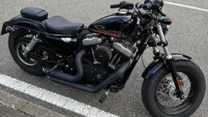 Harley-Davidson 1200 Forty-Eight (2010 - 15)  (3)