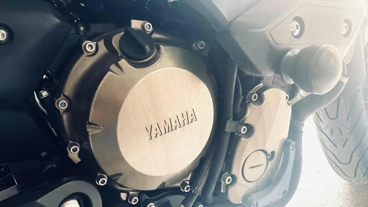 Yamaha XJ6 (2008 - 15)  (14)