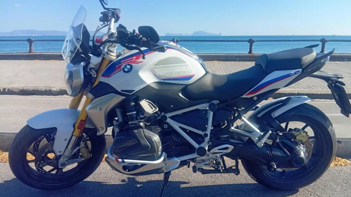 Bmw R 1250 R (2019 - 20) 