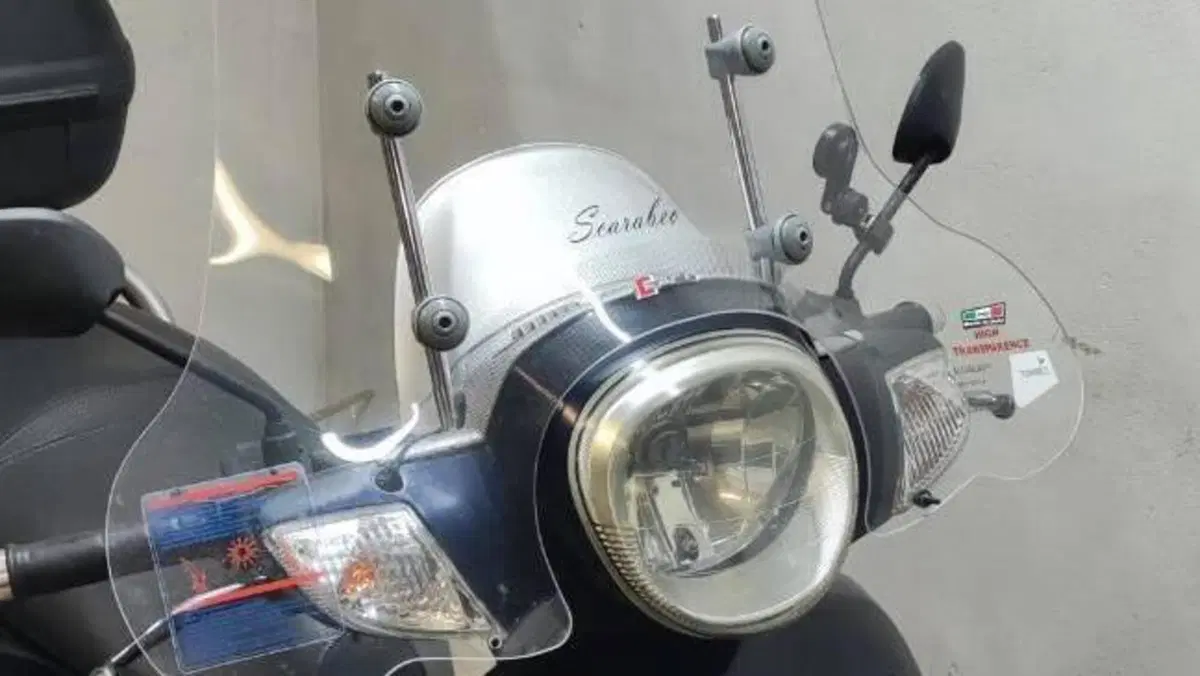 Aprilia Scarabeo 250 (2006 - 11)  (4)