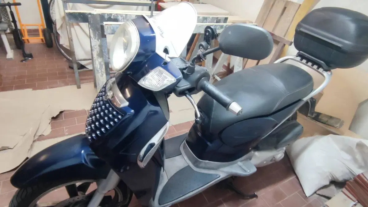 Aprilia Scarabeo 250 (2006 - 11)  (8)
