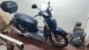 Aprilia Scarabeo 250 (2006 - 11)  (9)