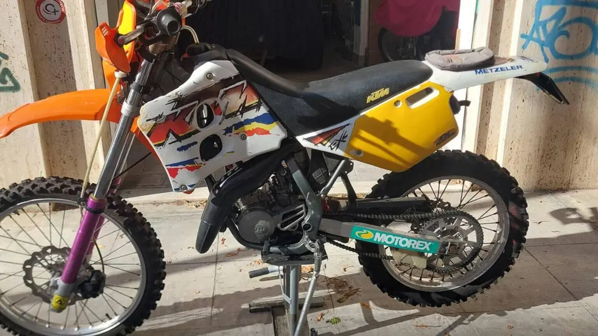 Betamotor   (2)
