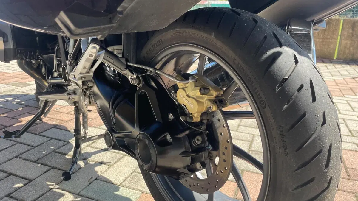 Bmw R 1250 RS (2019 - 20)  (7)