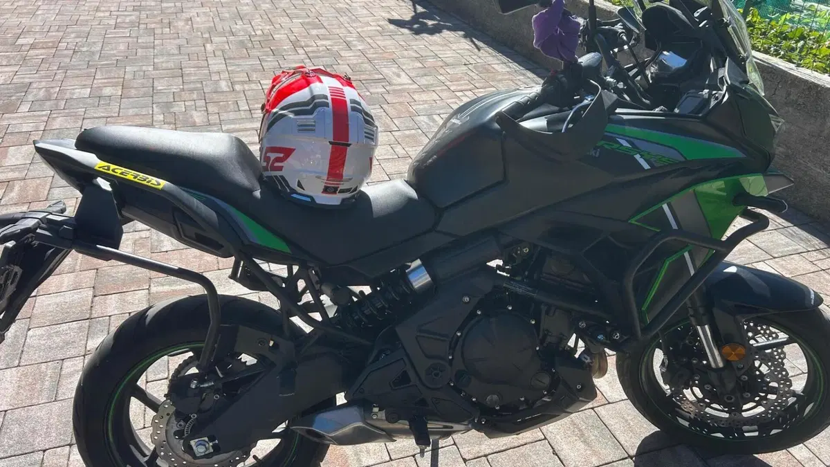 Kawasaki Versys 650 (2021 - 24)  (2)
