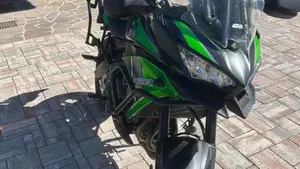 Kawasaki Versys 650 (2021 - 24)  (4)