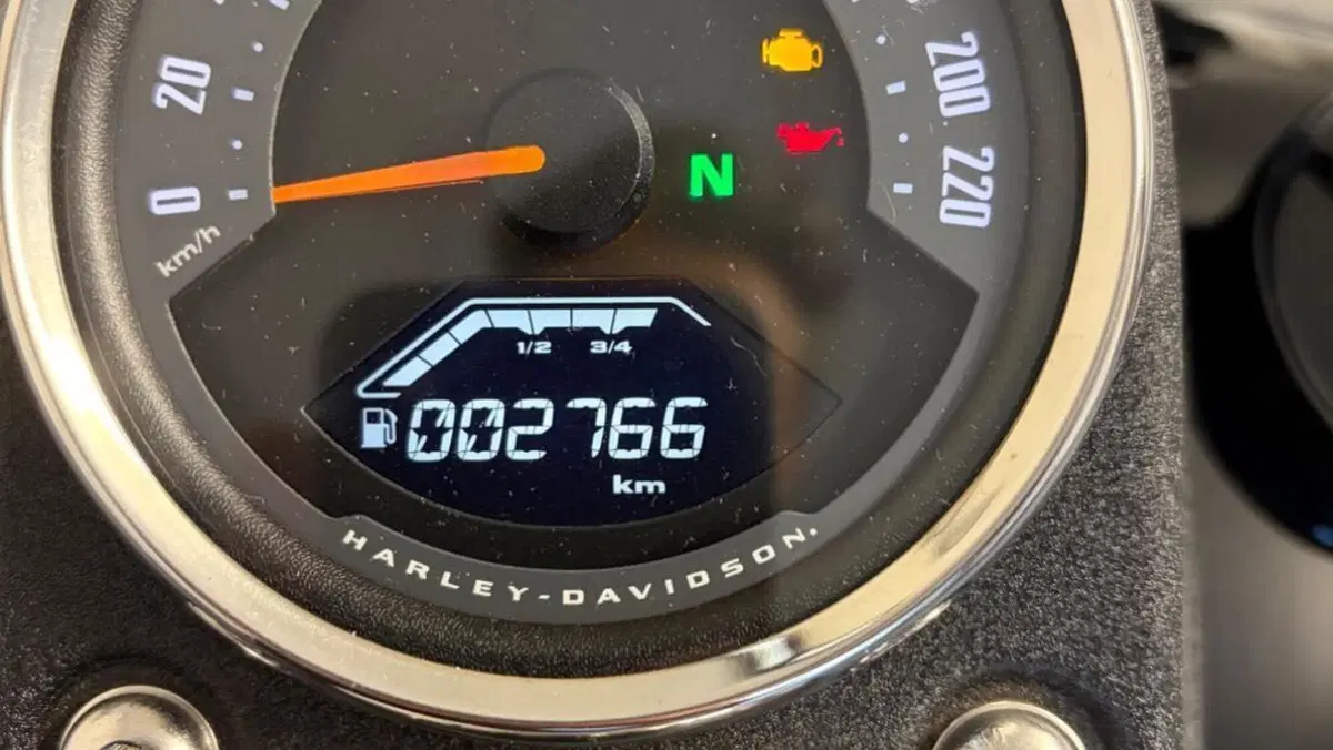 Harley-Davidson 114 Low Rider S (2020) - FXLRS  (6)