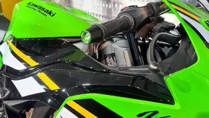 Kawasaki Ninja 125 (2025 - 26)  (3)