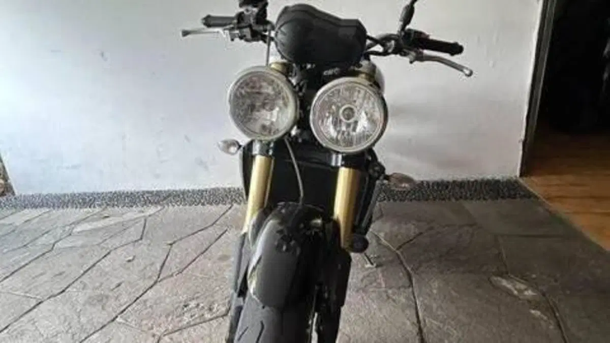 Triumph   (3)