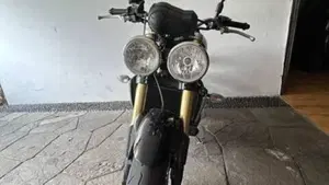 Triumph   (3)