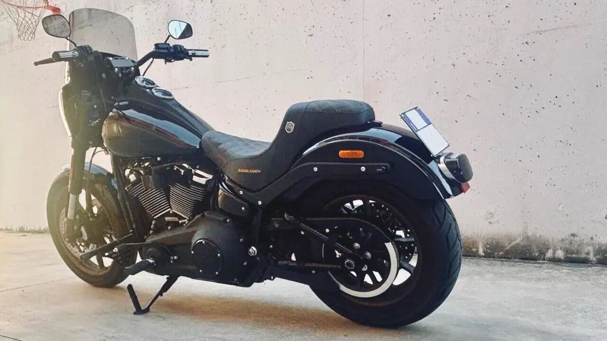 Harley-Davidson 114 Low Rider S (2021) - FXLRS  (3)