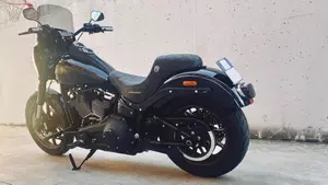 Harley-Davidson 114 Low Rider S (2021) - FXLRS  (3)