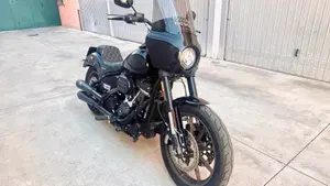 Harley-Davidson 114 Low Rider S (2021) - FXLRS  (4)