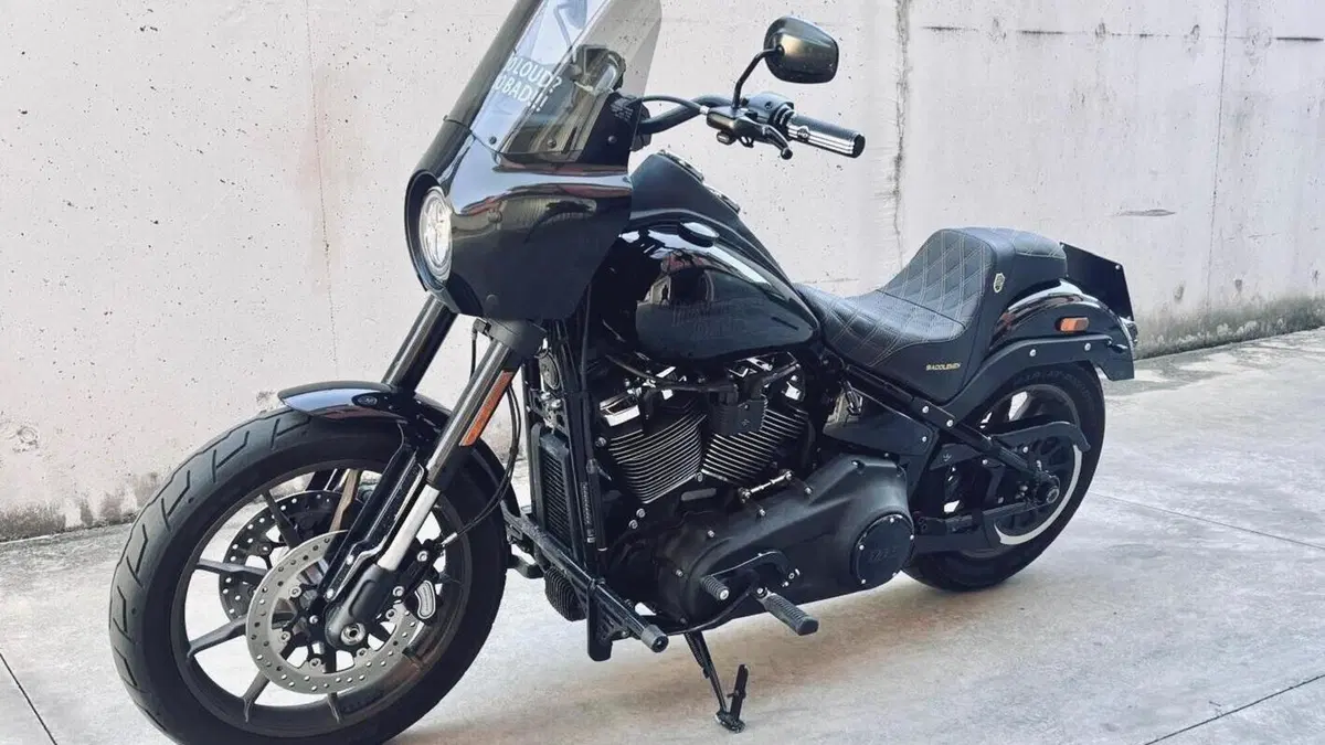 Harley-Davidson 114 Low Rider S (2021) - FXLRS  (7)