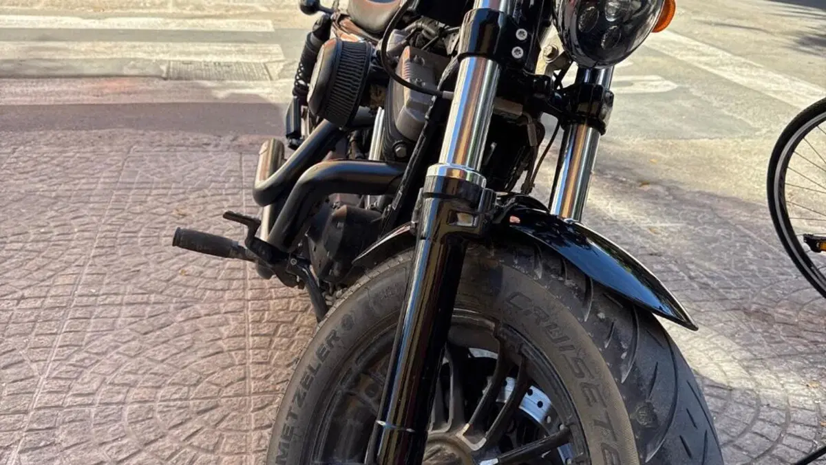 Harley-Davidson 1200 Forty-Eight (2016 - 20)  (3)