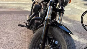 Harley-Davidson 1200 Forty-Eight (2016 - 20)  (3)